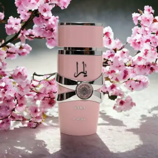 Women Eau De Parfum Spray 3.40 Ounce 99ml Diffuses Scent For Long Lasting Fragrance Bad Odors Smells Good Can Be Carried Around Unique Design Appearance